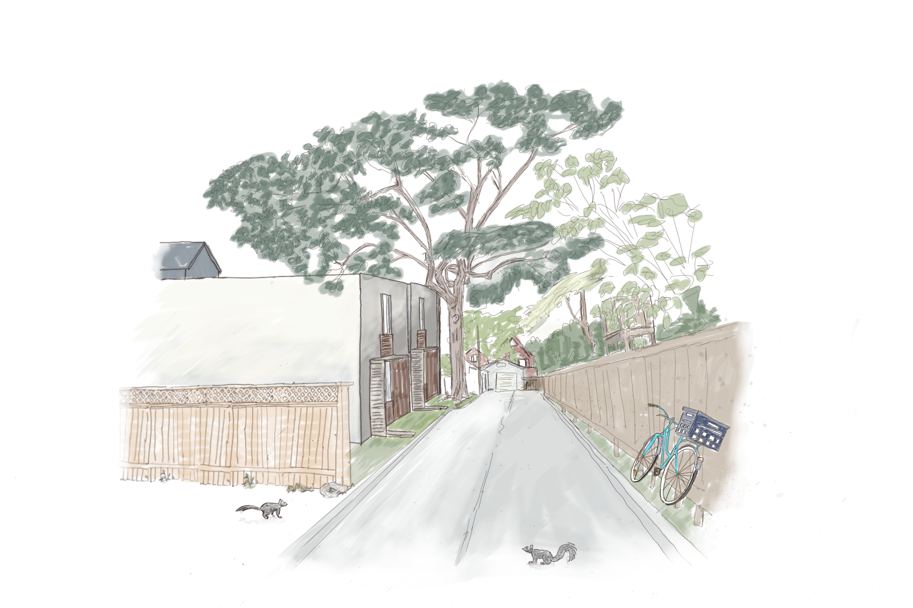 Laneway Houses w Tree